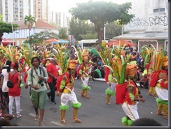 carnaval2014 -l'hexadom & le relais ultramarin 078