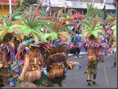 carnaval2014 -l'hexadom & le relais ultramarin 097