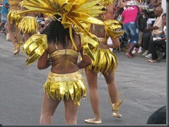 carnaval-Grande parade 15-02-2015 PàP 052